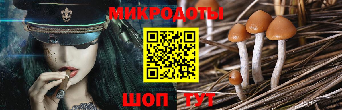 Псилоцибиновые грибы Psilocybine cubensis Рыбинск